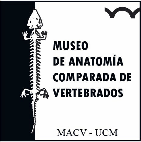 Museo de Anatomía Comparada de Vertebrados MACV